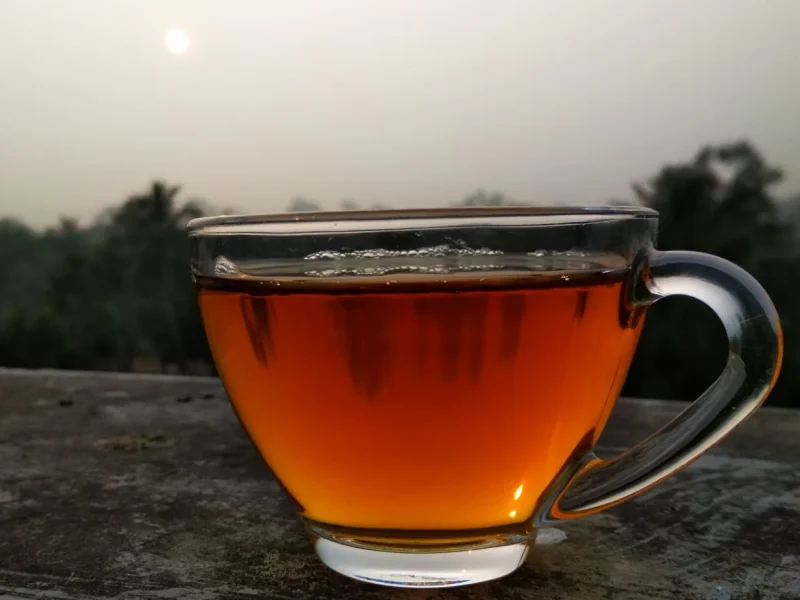 Clear glass cup of tea on a stone ledge at dusk with trees in the background